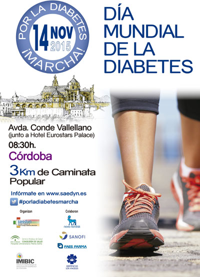 Cartel marcha por la diabetes