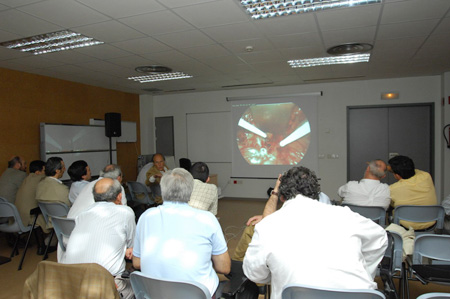 Asistentes al curso durante una intervención