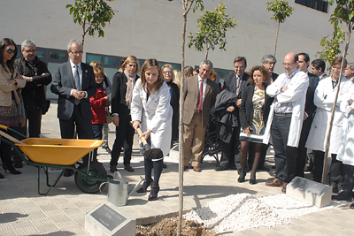  La directora gerente del hospital contribuye a la plantación del naranjo