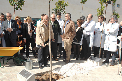 El presidente de la Asociación de Trasplantados de Corazón arrima arena al árbol