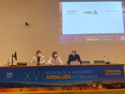 Mesa inaugural XVI Reunón Cirujanos