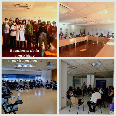 Actividad de la comisión de violencia de género