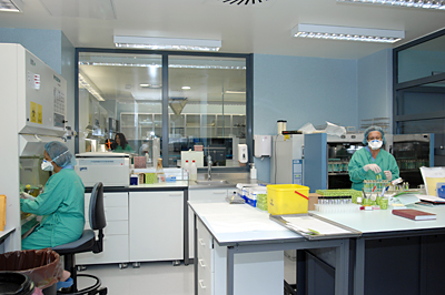 Profesionales trabajando en el nuevo laboratorio de Microbiología.