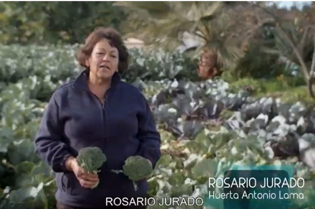 El proyecto Salud con Gusto presente el brócoli en febrero