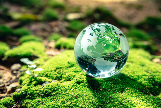 POLITICA GESTIÓN AMBIENTAL DEL S.A.S