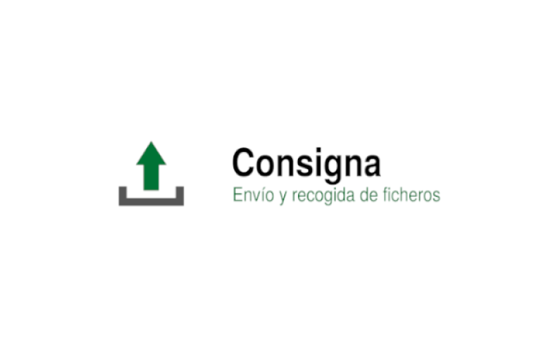 Consigna