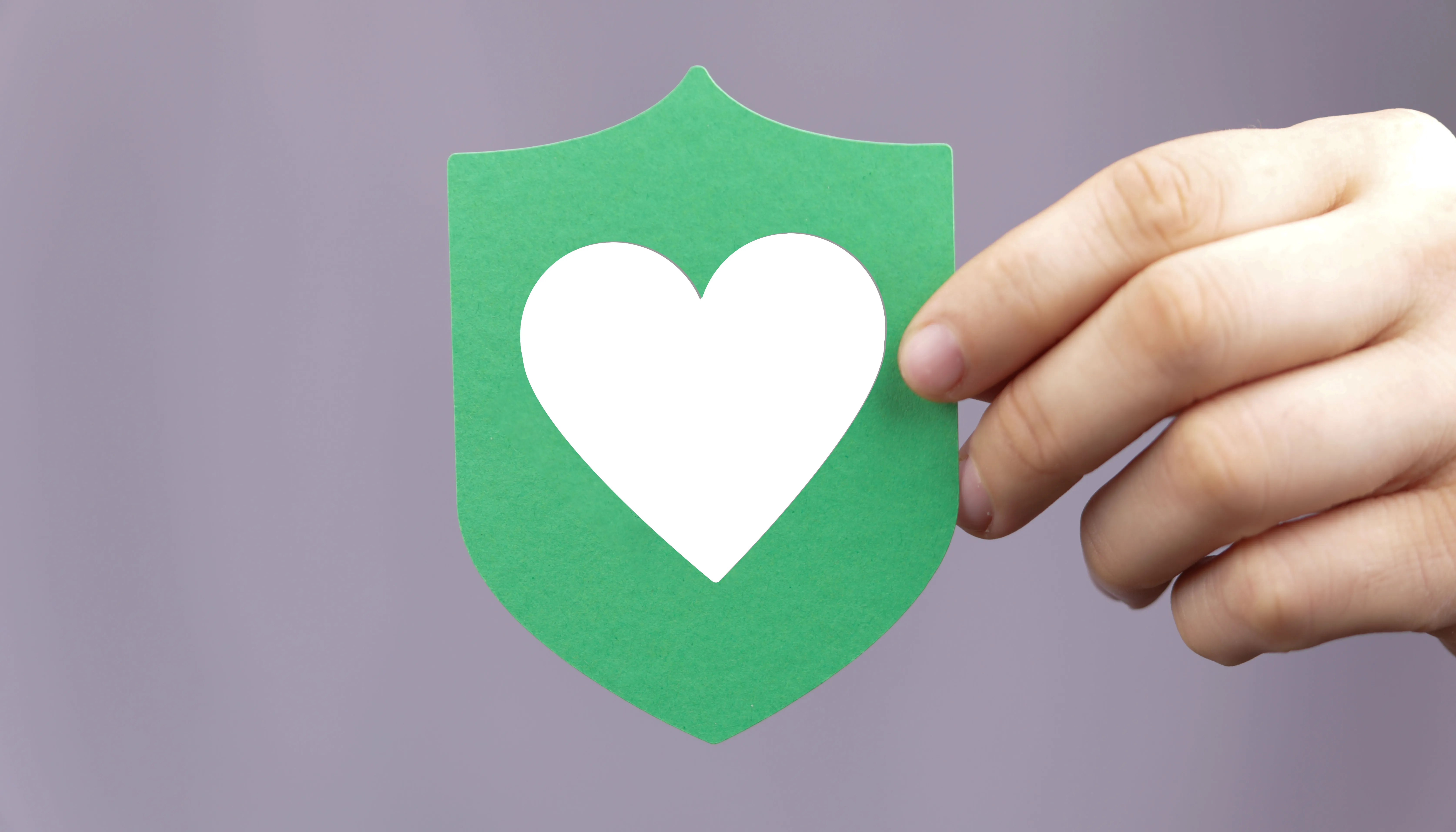 Escudo ciberseguridad