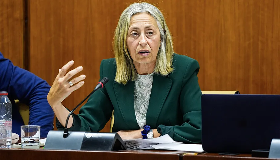 Rocío Hernández en comisión parlamentaria