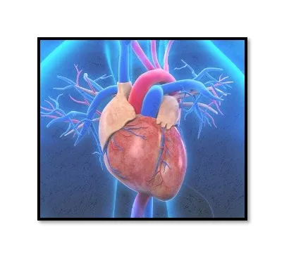 cirugia cv