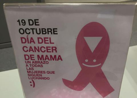 noticia-dia-cancer-mama.jpg La curación del cáncer de mama se consigue ya en el 82 por ciento de los casos