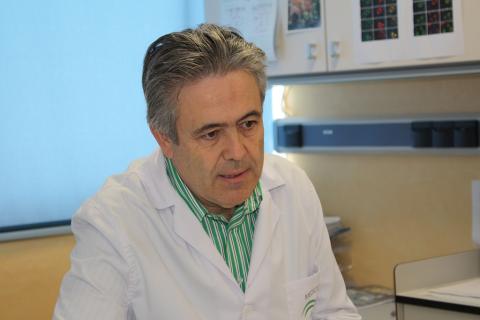 Un malagueño, presidente de los oncólogos españoles