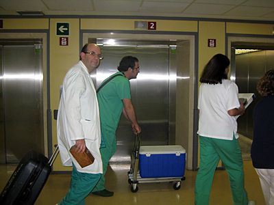 Cirujanos y enfermera en busca del órgano.