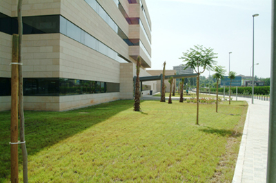 El recinto hospitalario