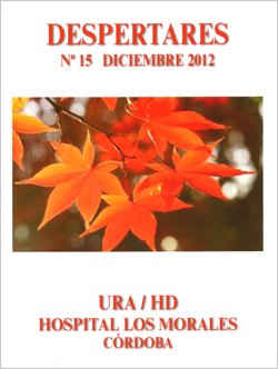 Despertares 15