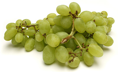 Uvas