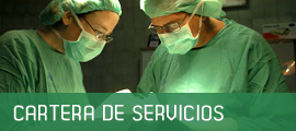 cartera servicios